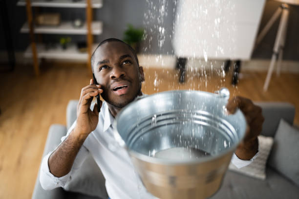 Best Carpet water damage restoration  in Lebanon, NH
