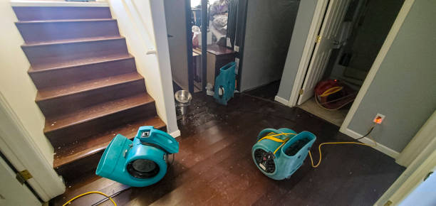 Best 24/7 water damage repair  in Lebanon, NH